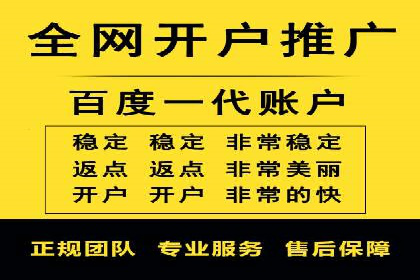 成功托管SEM竞价，实现品牌快速曝光